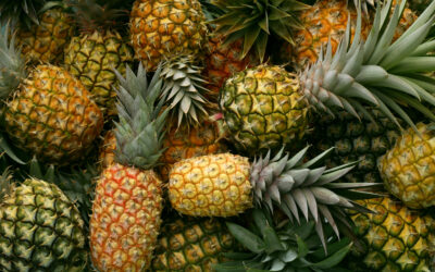 Ananas – en ernæringsmæssig supertanker